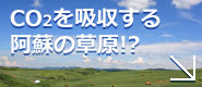 CO2を吸収する阿蘇の草原